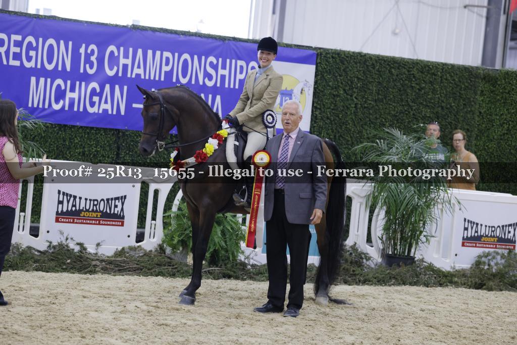 Proof 25R13_15655
