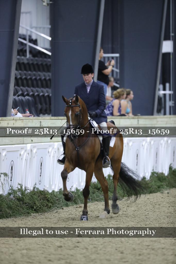 Proof 25R13_15659