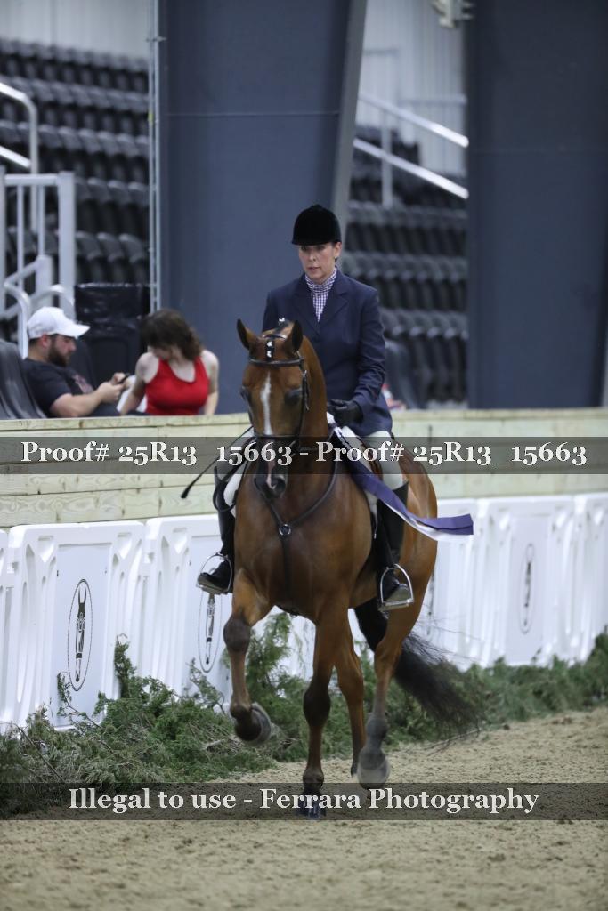 Proof 25R13_15663