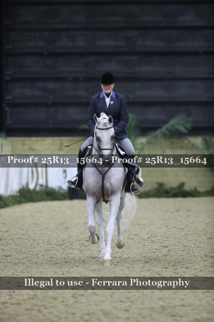 Proof 25R13_15664