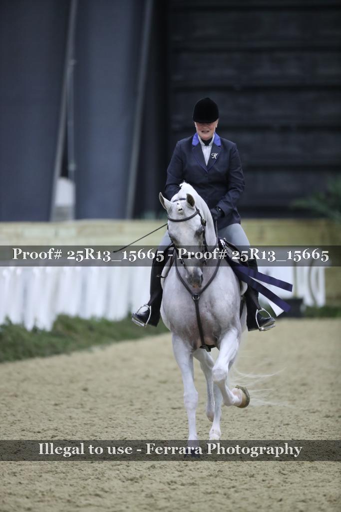 Proof 25R13_15665