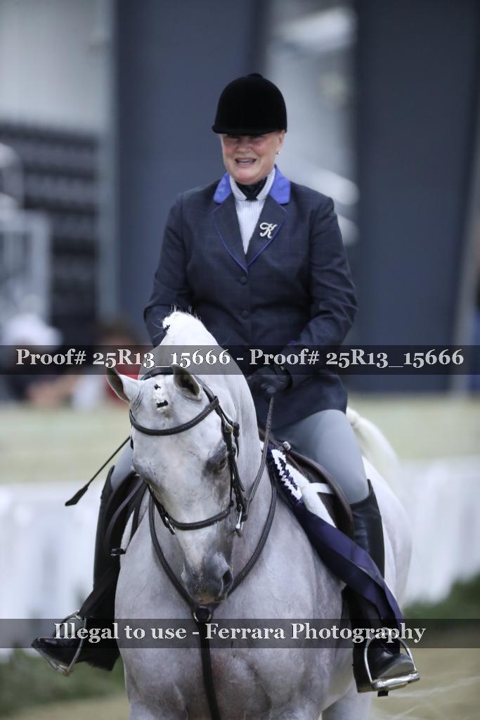 Proof 25R13_15666