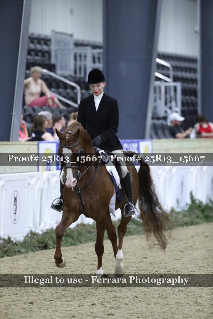 Proof 25R13_15667