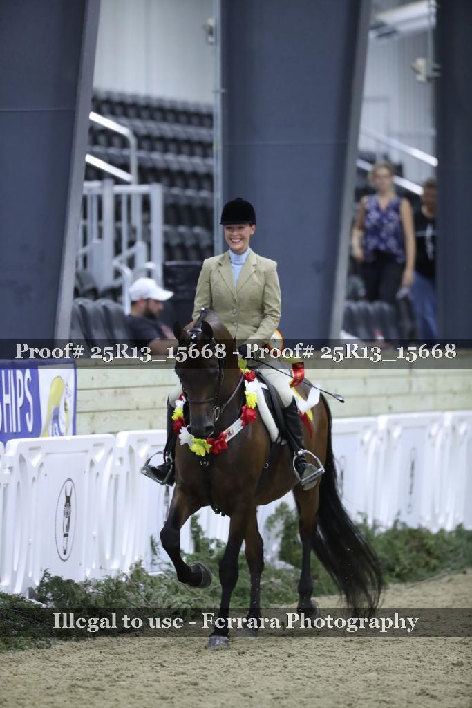 Proof 25R13_15668