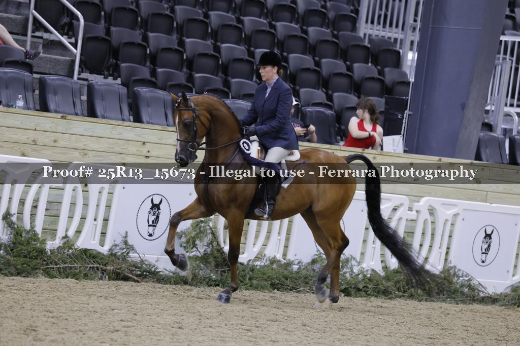 Proof 25R13_15673