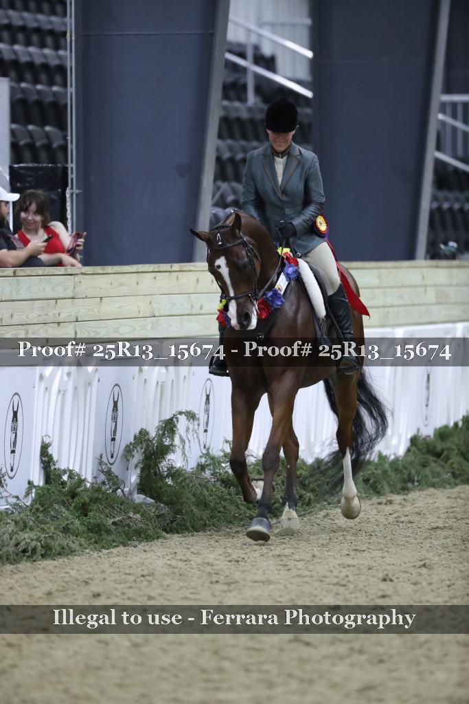 Proof 25R13_15674