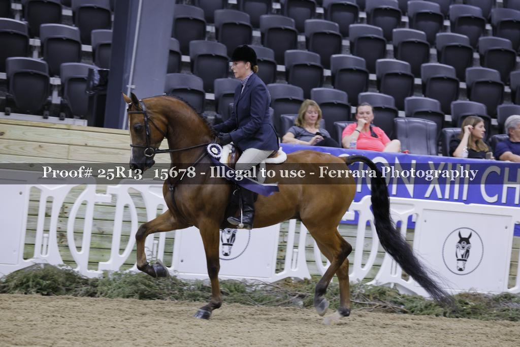 Proof 25R13_15678
