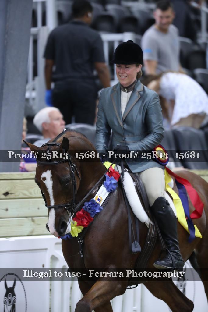 Proof 25R13_15681