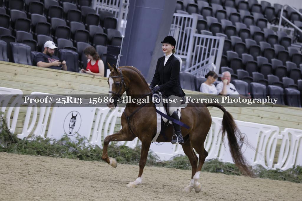 Proof 25R13_15686