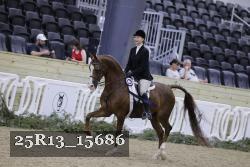 25R13_15686 proof