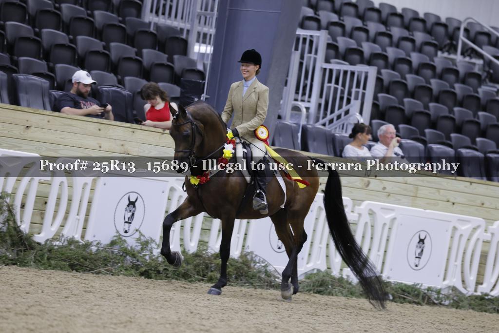 Proof 25R13_15689