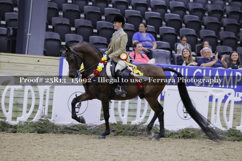 Proof 25R13_15692