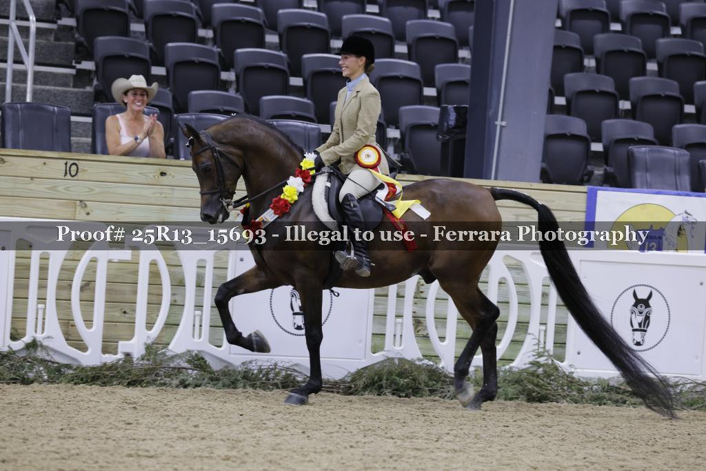 Proof 25R13_15693