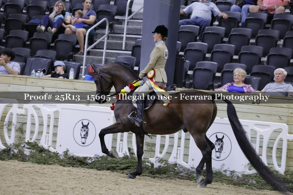 Proof 25R13_15695