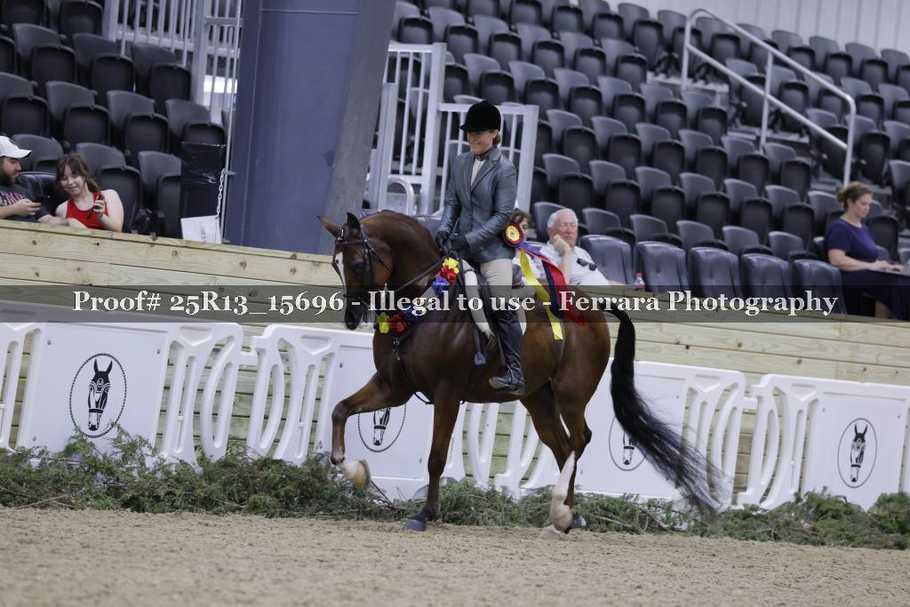 Proof 25R13_15696