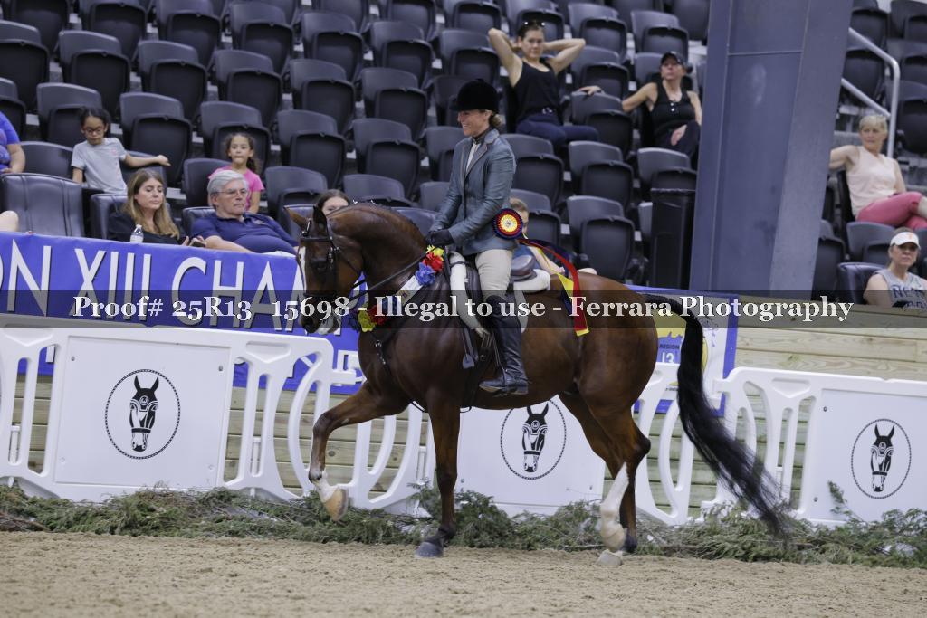 Proof 25R13_15698