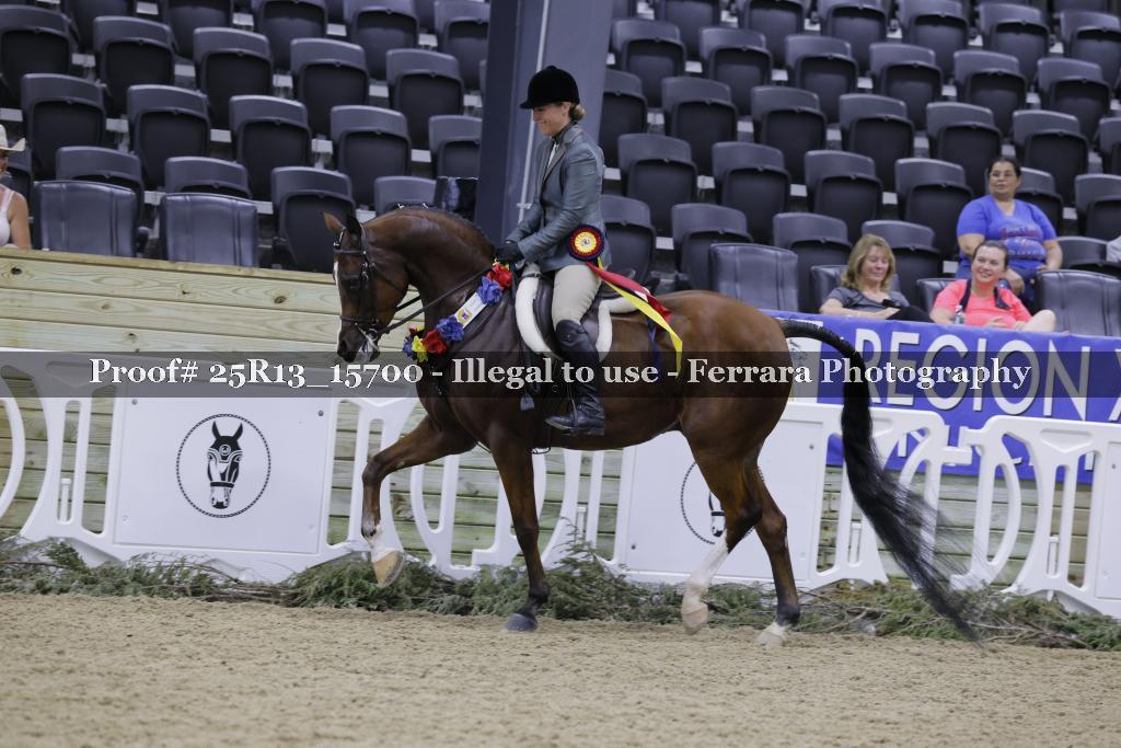 Proof 25R13_15700