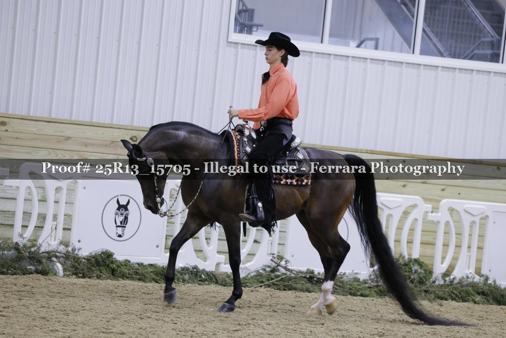 Proof 25R13_15705