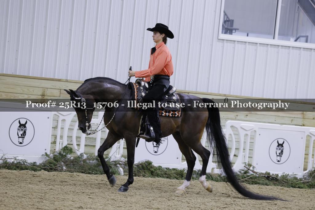Proof 25R13_15706