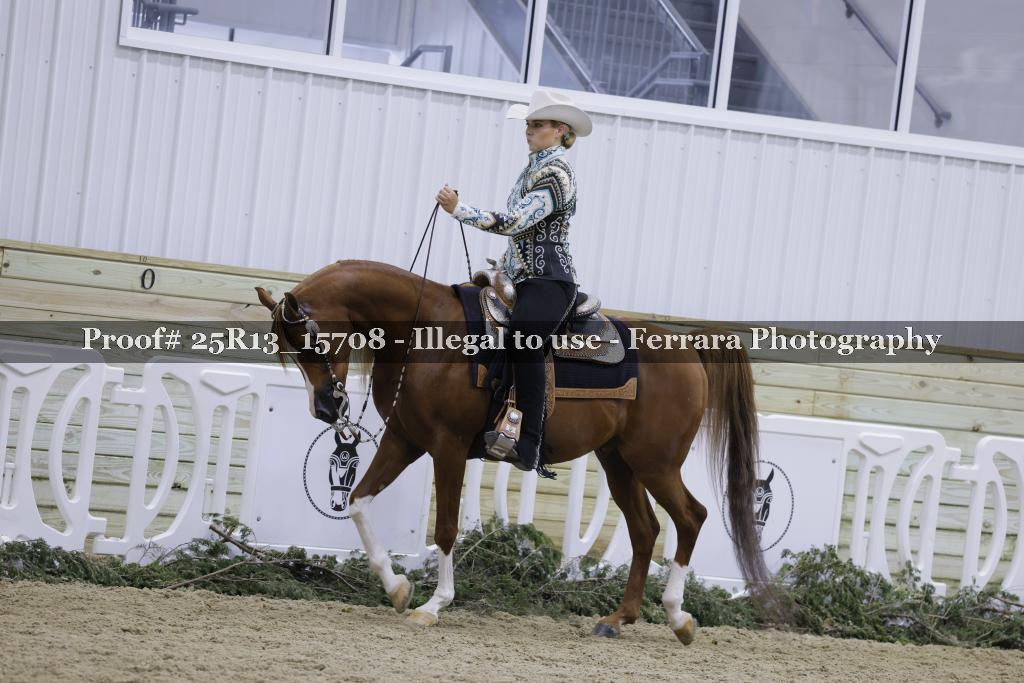 Proof 25R13_15708