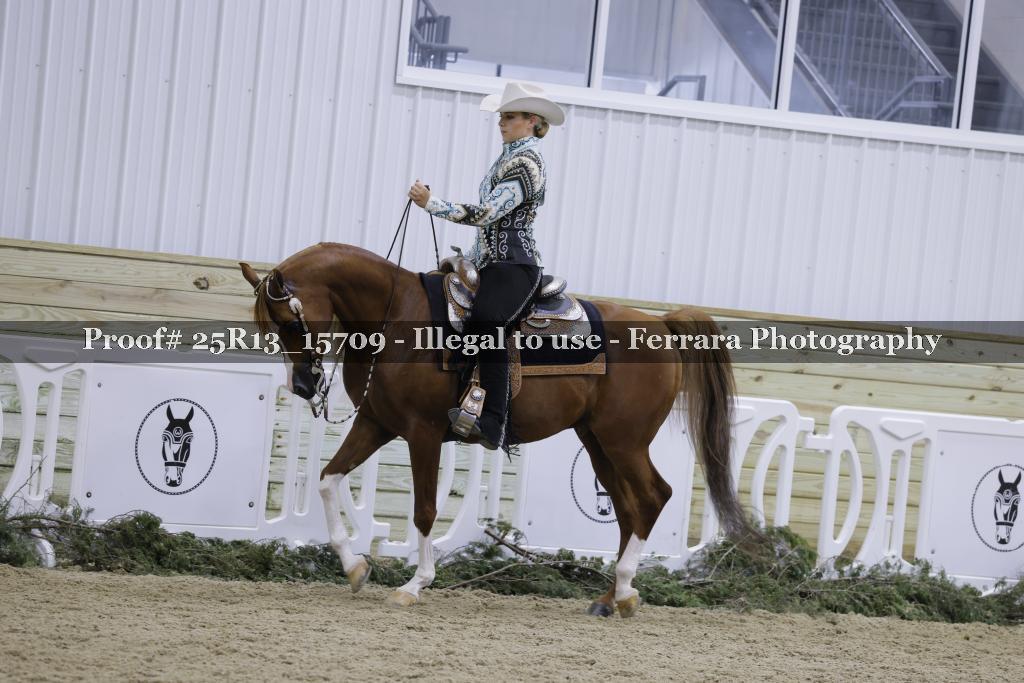 Proof 25R13_15709
