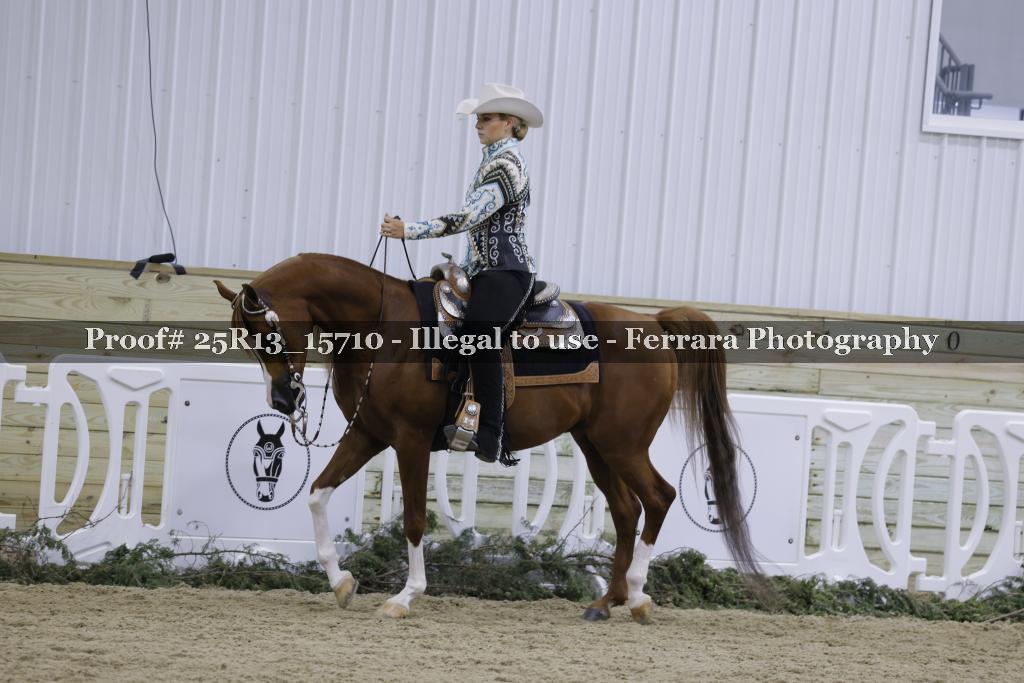 Proof 25R13_15710