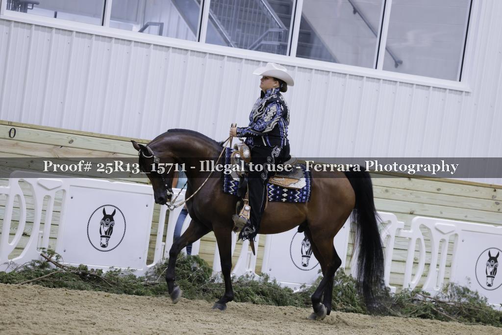 Proof 25R13_15711