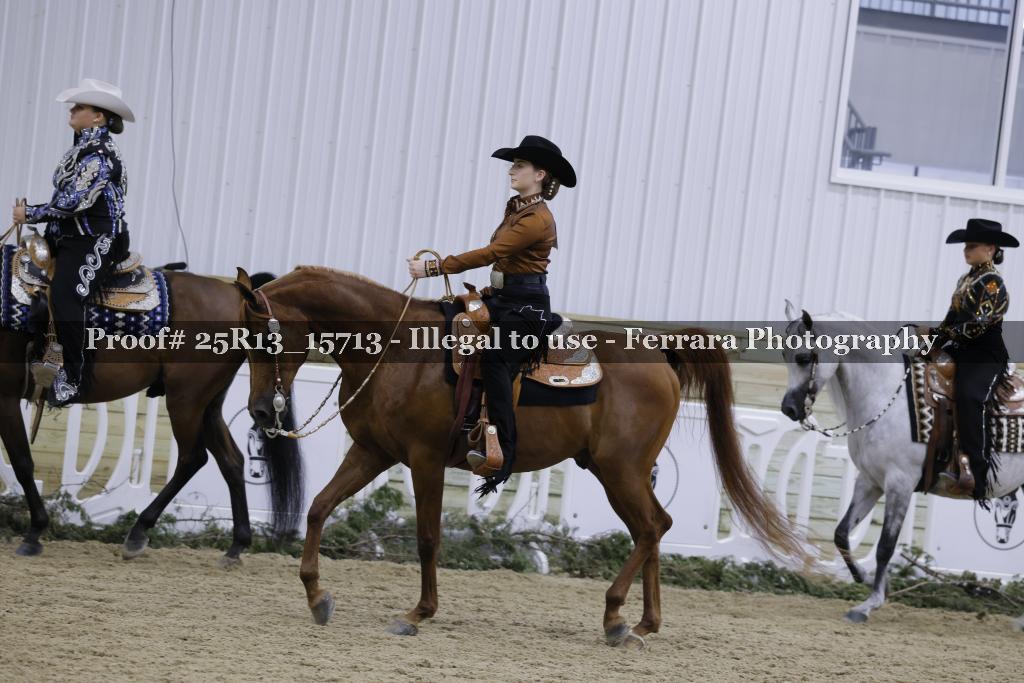 Proof 25R13_15713