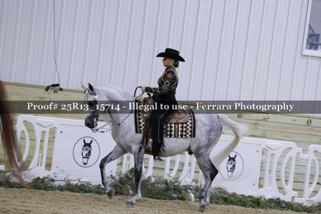 Proof 25R13_15714