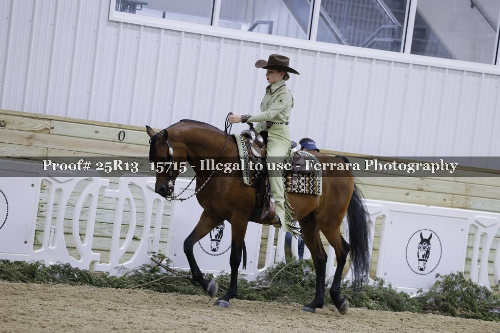 Proof 25R13_15715
