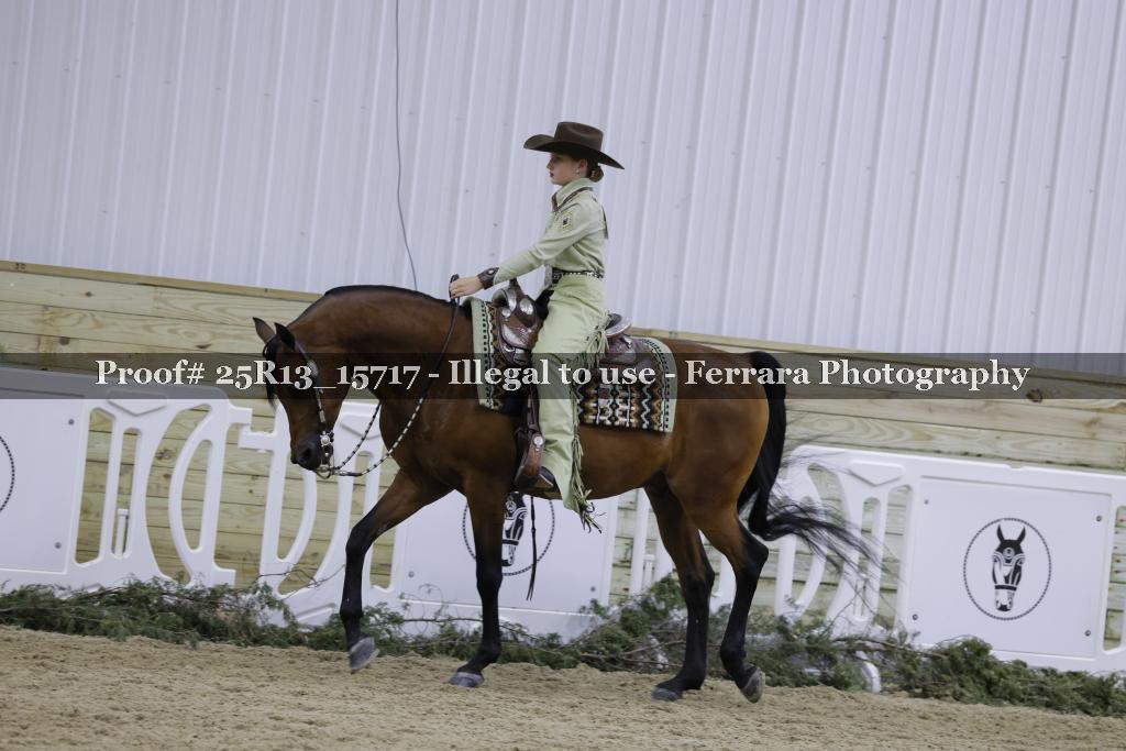 Proof 25R13_15717