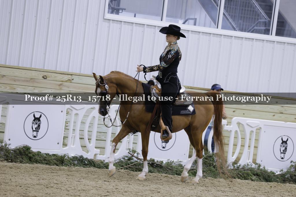 Proof 25R13_15718