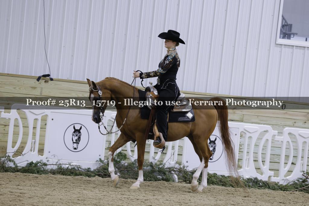 Proof 25R13_15719