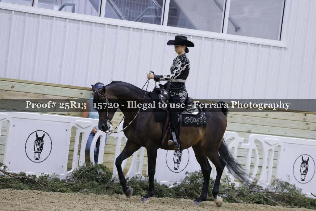Proof 25R13_15720
