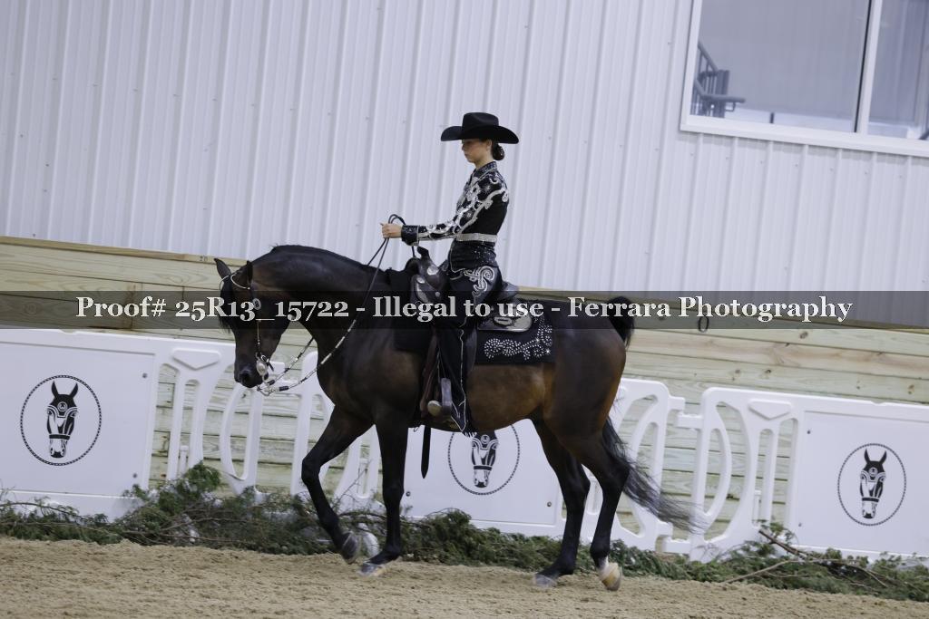 Proof 25R13_15722