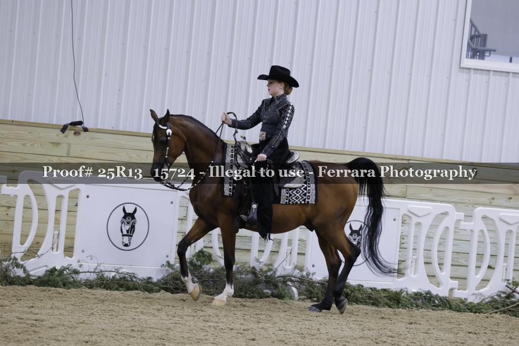 Proof 25R13_15724