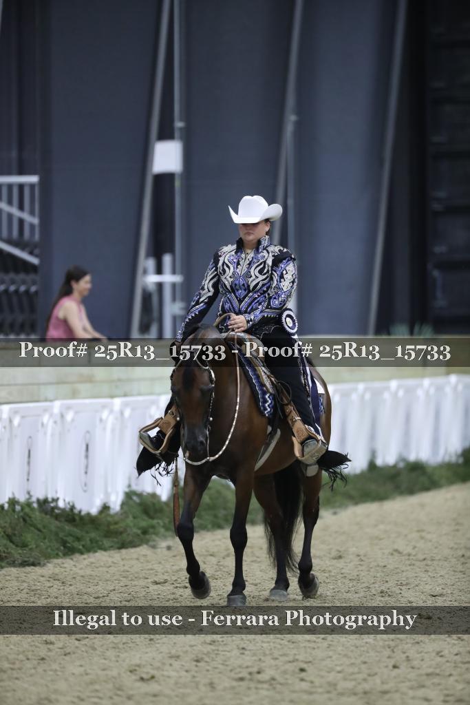 Proof 25R13_15733