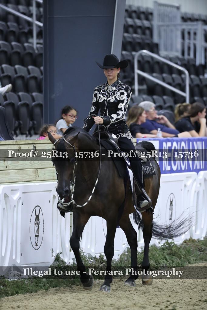 Proof 25R13_15736