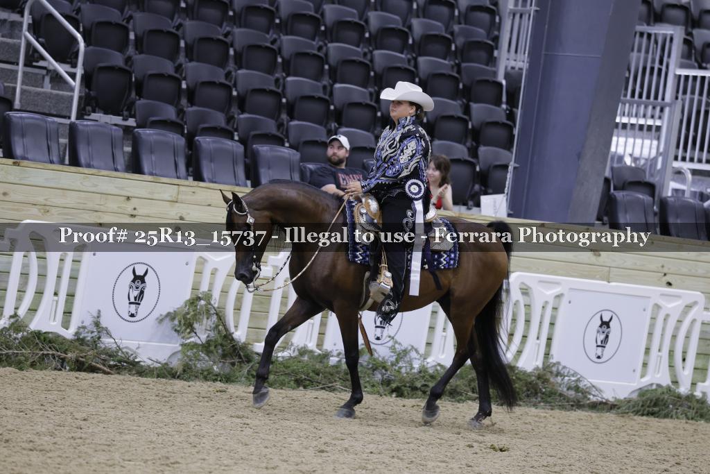Proof 25R13_15737