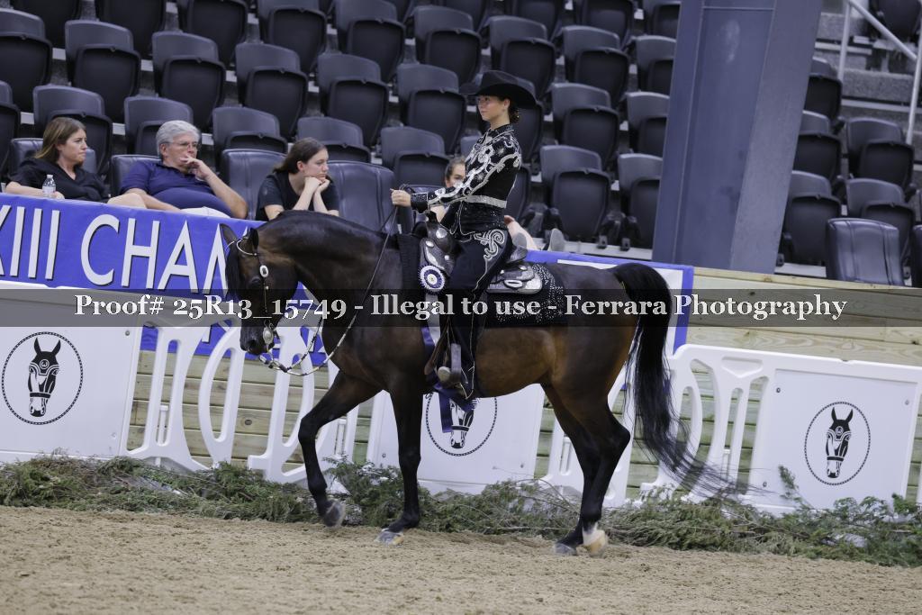 Proof 25R13_15749