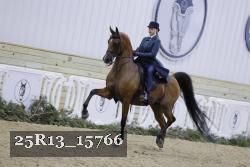 25R13_15766 proof