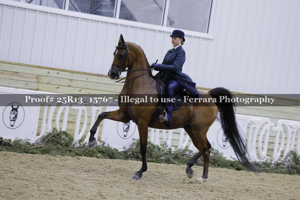 Proof 25R13_15767