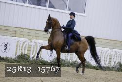 25R13_15767 proof