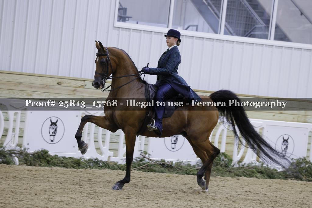 Proof 25R13_15768