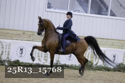 25R13_15768 proof