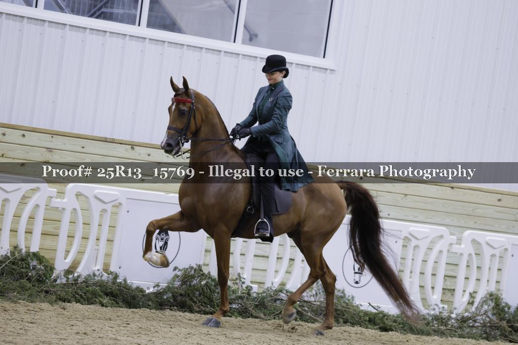 Proof 25R13_15769