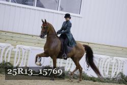 25R13_15769 proof