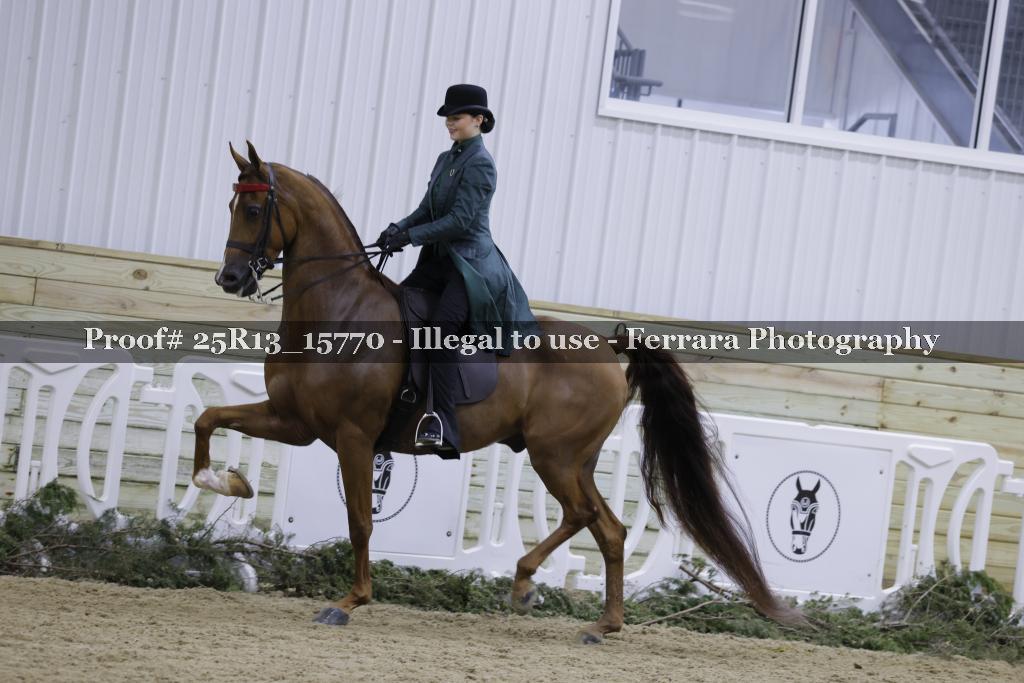 Proof 25R13_15770