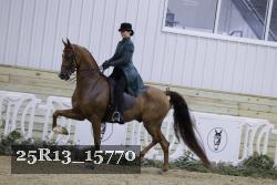 25R13_15770 proof