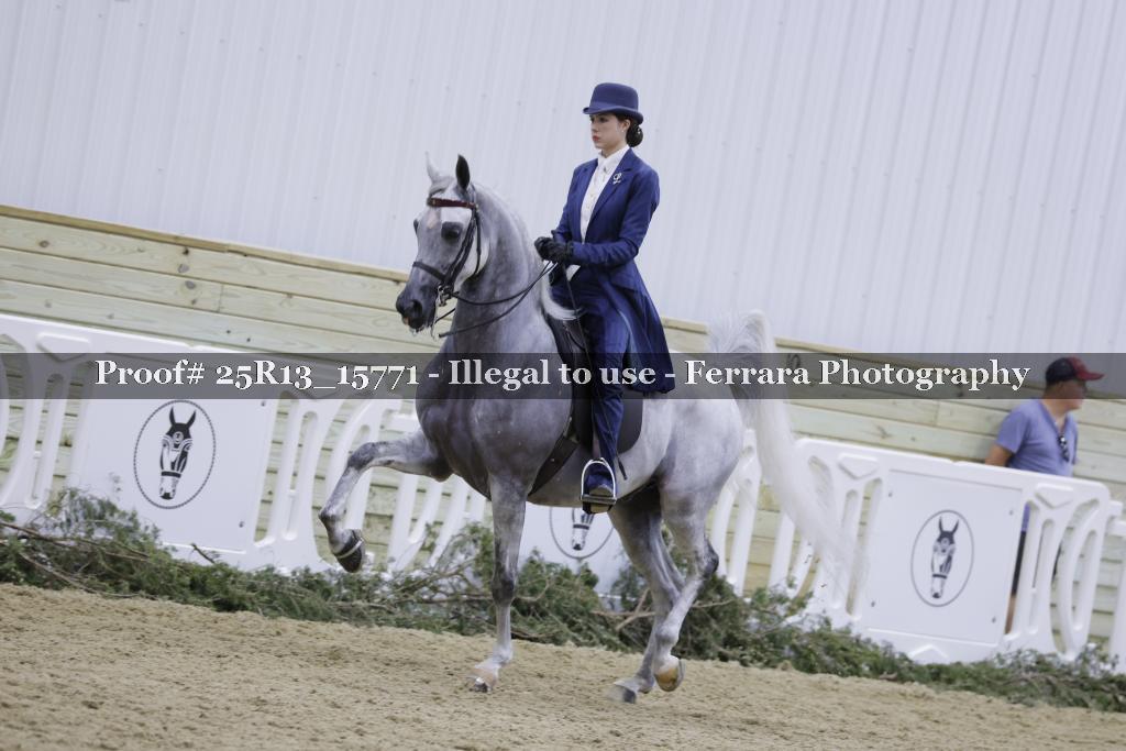 Proof 25R13_15771